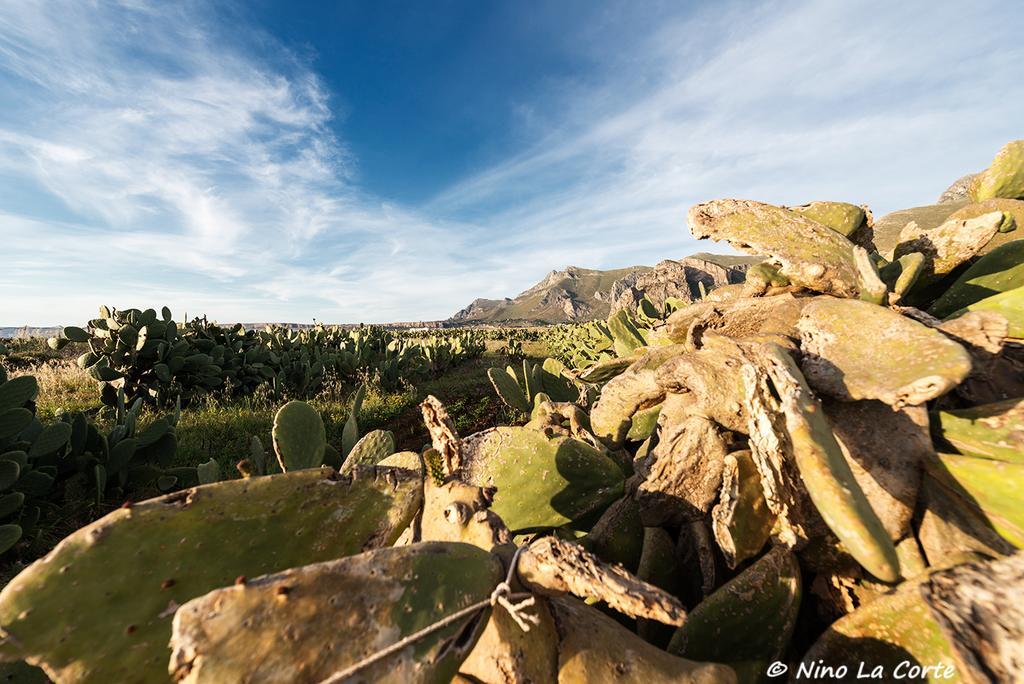 Vila Baglio Montoleone Castelluzzo Pokoj fotografie